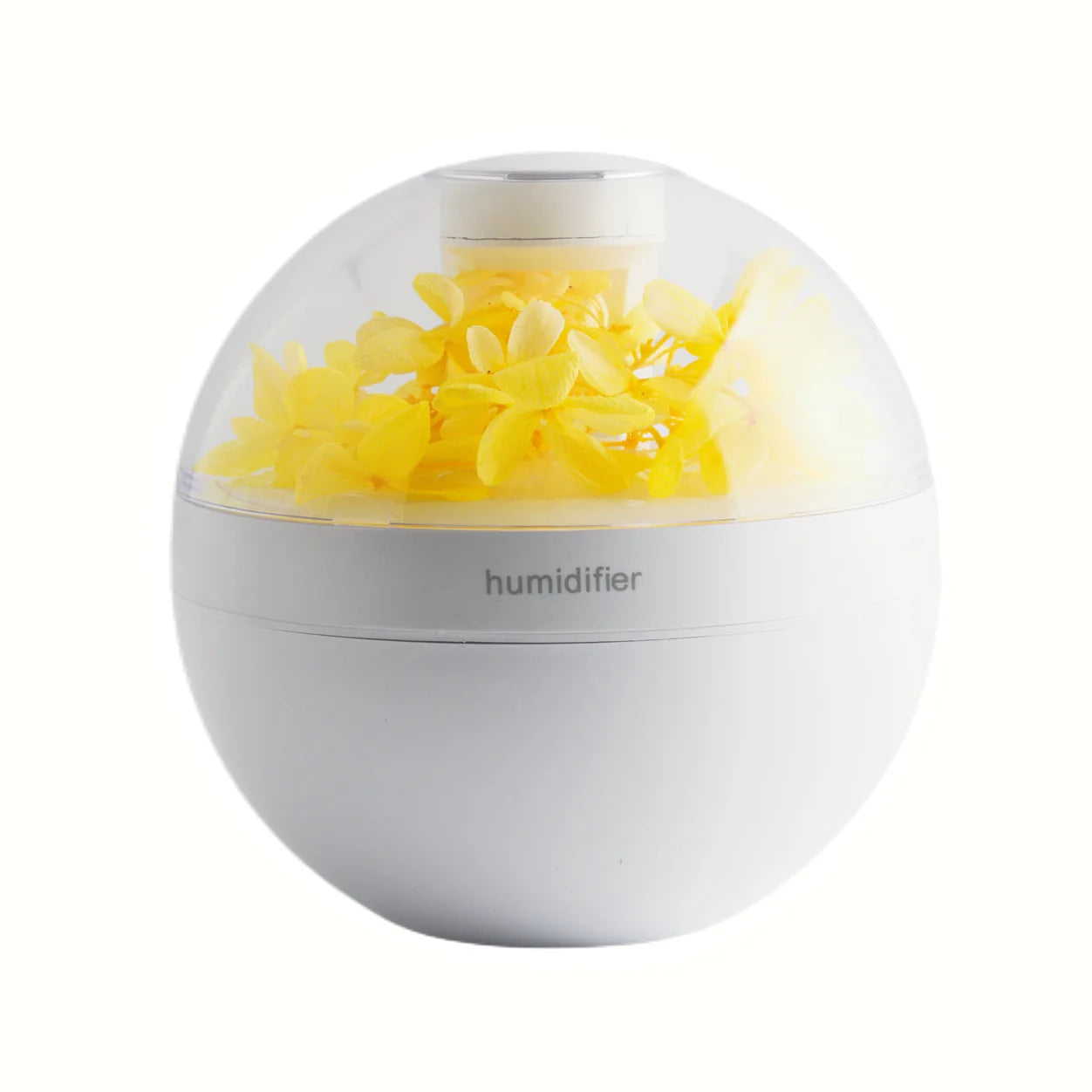 S4df377c7312d4da3991c4df51e6c20a4b