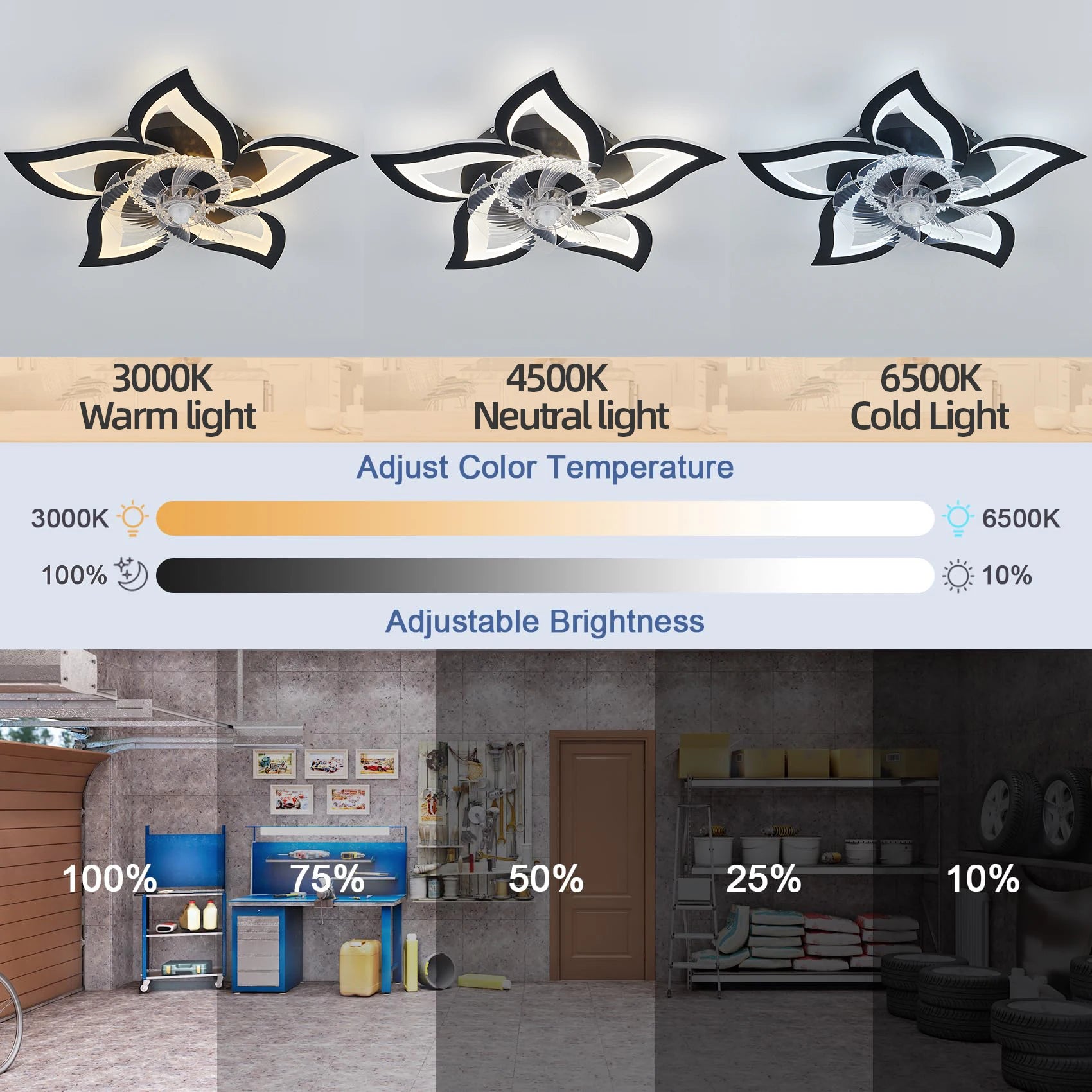 S53521c505e0543048bc1c8904e88cdc6R